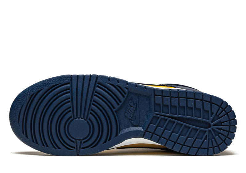 Dunk Low Michigan 2021